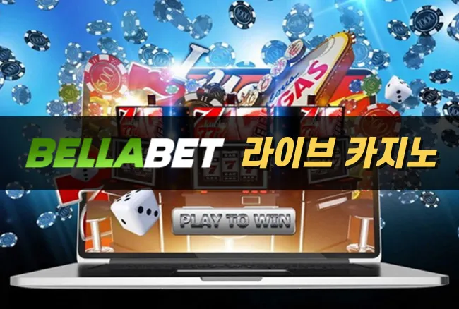온라인 스포츠와 게임 플랫폼을 선택할 때 확인해야 할 핵심 요소